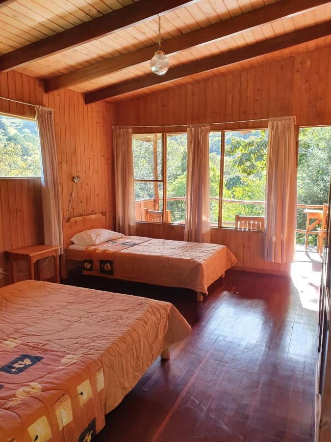 El Toucanet Lodge Copey Екстериор снимка