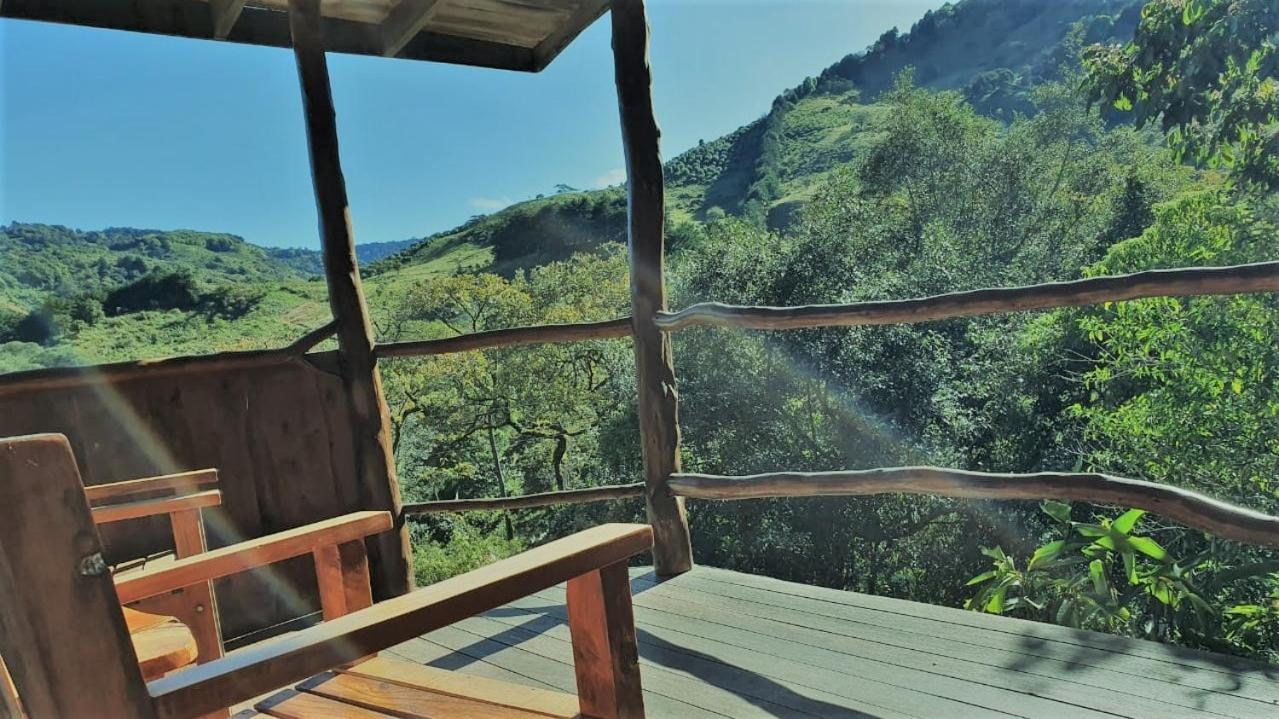 El Toucanet Lodge Copey Екстериор снимка