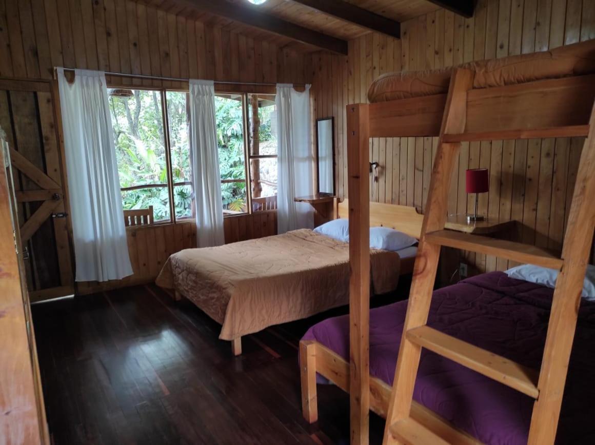 El Toucanet Lodge Copey Екстериор снимка