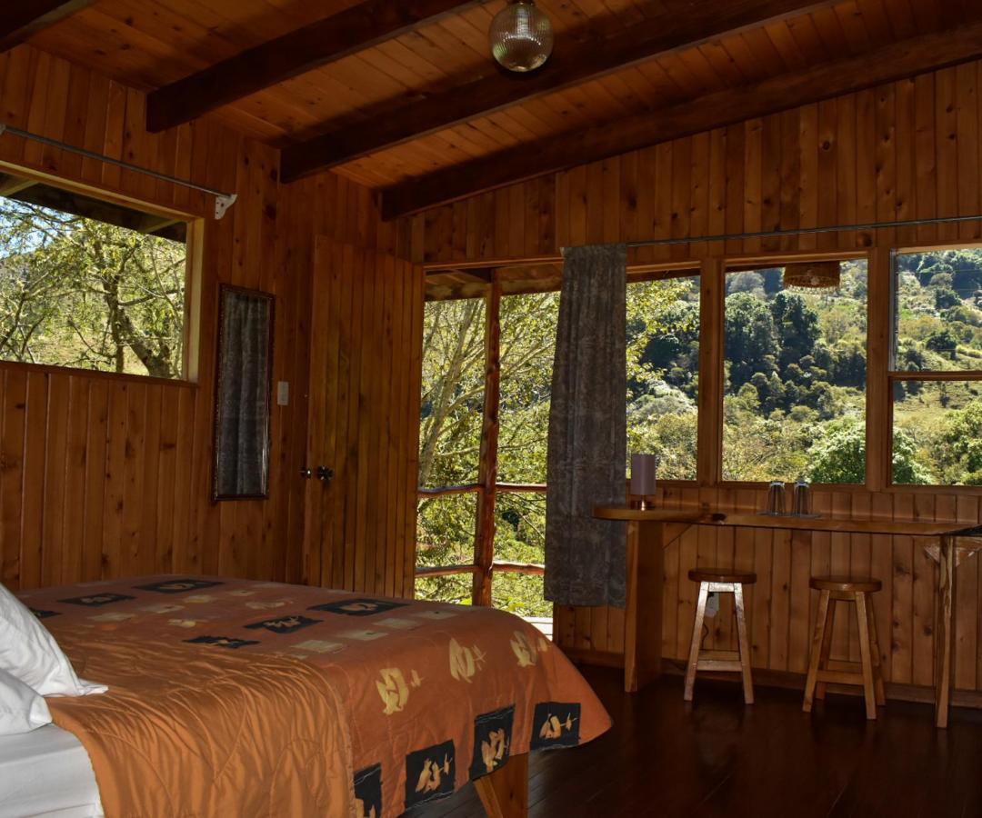 El Toucanet Lodge Copey Екстериор снимка