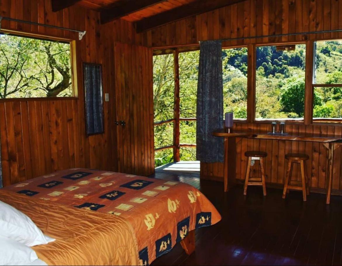 El Toucanet Lodge Copey Екстериор снимка